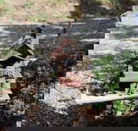 Australian Home Away at Wonga Park Brushy Creek - Northern Rivers Accommodation