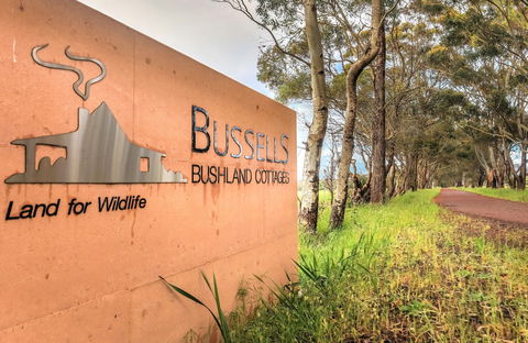 Bussells Bushland Cottages - Northern Rivers Accommodation 4