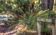 Bussells Bushland Cottages - thumb 1