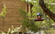 Bussells Bushland Cottages - thumb 3