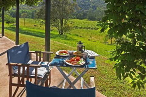 Cedar Creek Cottages - Northern Rivers Accommodation 1