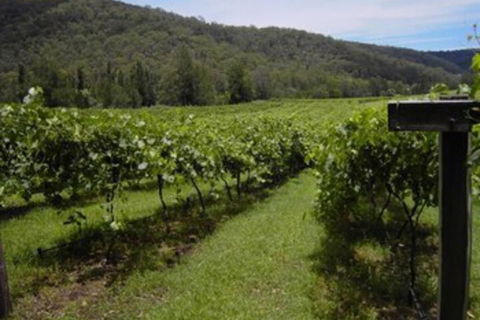 Cedar Creek Cottages - Northern Rivers Accommodation 2