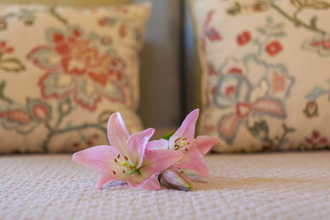 Stonewell Cottages & Vineyards - Northern Rivers Accommodation 2