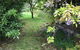 Lorelei Bed & Breakfast - thumb 2