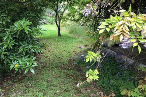 Lorelei Bed & Breakfast - Northern Rivers Accommodation 2