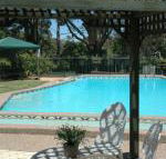 The Tree Motel - Northern Rivers Accommodation