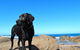Beachside Prevelly Villas - thumb 2