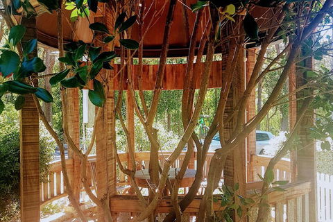 Adamsons Riverside Accommodation - Northern Rivers Accommodation 1