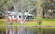 Bushy Lake Chalets - thumb 0