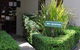 Oyster Cove Chalet - thumb 6