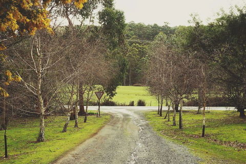 Oyster Cove Chalet - Northern Rivers Accommodation 4