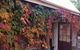 Richmond Cottages Tasmania - thumb 1