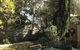 Richmond Cottages Tasmania - thumb 6