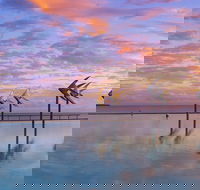 Global Backpackers Cairns - Northern Rivers Accommodation
