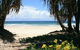 Ozone Shores - thumb 1