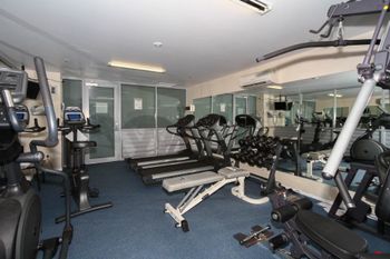 Resort Apartment 8224 - Northern Rivers Accommodation 5