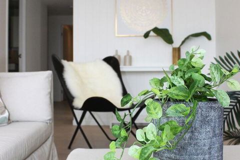 Modern Apartment In Brisbane - Northern Rivers Accommodation 5
