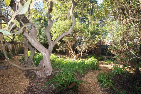 Stonewall Cottage For Two With Fireplace - Northern Rivers Accommodation 2