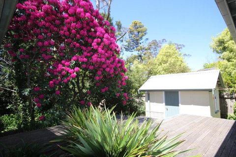 Stonewall Cottage For Two With Fireplace - Northern Rivers Accommodation 5