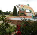 Big Trout Motel - Northern Rivers Accommodation