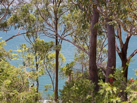 2 Westpoint 2 Thurlow Avenue Ground Floor Linen Supplied Views - Northern Rivers Accommodation 4