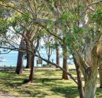 32 Bay Parklands 2 Gowrie Avenue fantastic unit with air conditioning pool tennis court  spa - Northern Rivers Accommodation