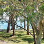 32 Bay Parklands 2 Gowrie Avenue Fantastic Unit With Air Conditioning Pool Tennis Court & Spa - Northern Rivers Accommodation 0