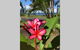 Mission Possible - thumb 6