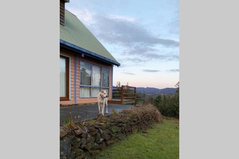 Wind Song Mountain Retreat - Northern Rivers Accommodation 2