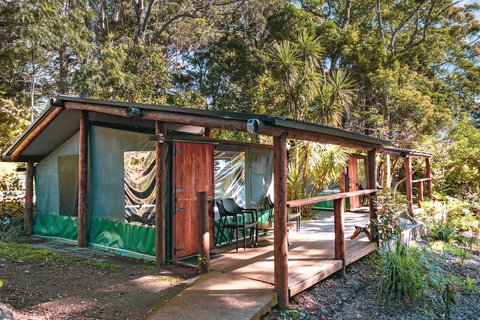 Binna Burra Rainforest Campsite - Northern Rivers Accommodation 3
