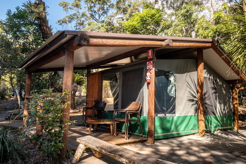 Binna Burra Rainforest Campsite - Northern Rivers Accommodation 5