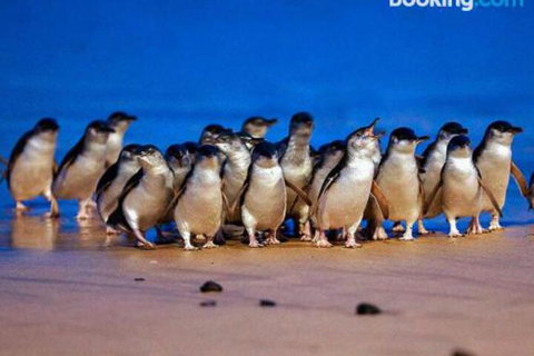 Lantana - Northern Rivers Accommodation 0