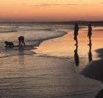 Cromarty Cottage 900m from Birubi Beach - Northern Rivers Accommodation