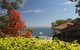 Dutchies Vista 1 / 45 Christmas Bush Ave Ground Floor Duplex With Stunning Water Views - thumb 0