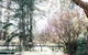 KIRRIEMUIR Burradoo Southern Highlands 4pm Check Out Sunday - thumb 1