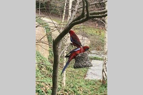 Mt Martha Couples Retreat - Northern Rivers Accommodation 4