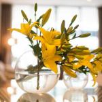 KUI Manhattan Apartments - Northern Rivers Accommodation 0