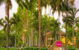 Mercure Port Douglas Treetops - thumb 0
