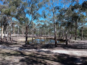 Big Tiny The Whispers - Northern Rivers Accommodation 3