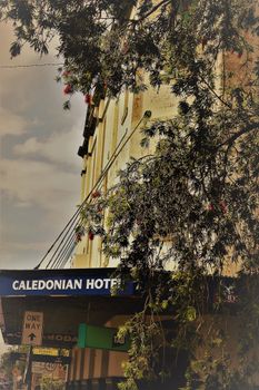 Caledonian Hotel - Northern Rivers Accommodation 0