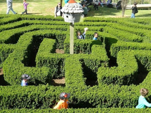 Home Near Shops & Beach - Northern Rivers Accommodation 6