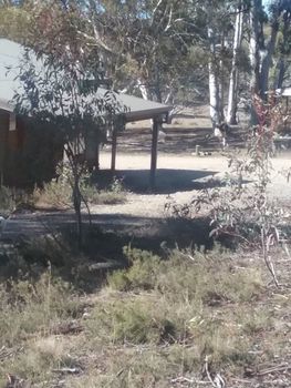 Gooandra Alpine Cabins - Northern Rivers Accommodation 1