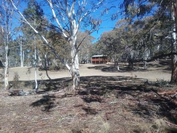 Gooandra Alpine Cabins - Northern Rivers Accommodation 6