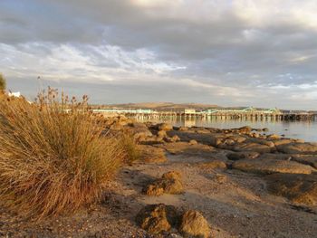 Port Lincoln Holiday Houses - Northern Rivers Accommodation 4