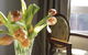 Areca Launceston - thumb 6