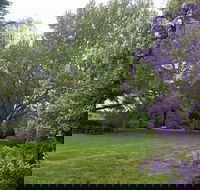 Petersons Armidale Winery  Guesthouse - Northern Rivers Accommodation