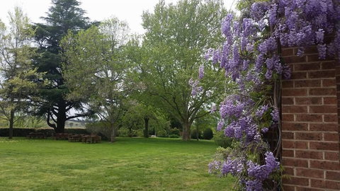 Petersons Armidale Winery & Guesthouse - Northern Rivers Accommodation 0