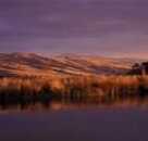 Wombat Hills Cottages - Northern Rivers Accommodation