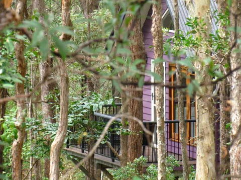 Amytis Gardens Retreat & Day Spa - Northern Rivers Accommodation 1