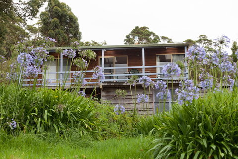 Bombina Cottages - Northern Rivers Accommodation 0